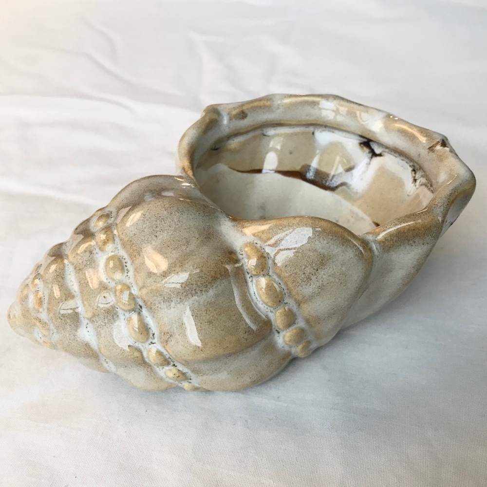 Ceramic Sea Shell Catch-All Dish 🐚 - Picture 2 of 8